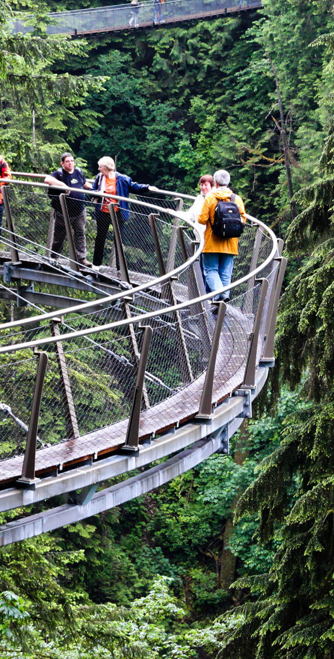 Group walking on forest suspension bridge