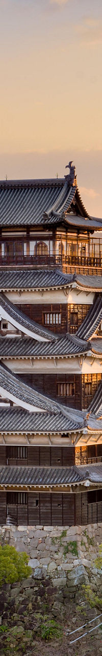 Hiroshima Castle at sunset with cityscape