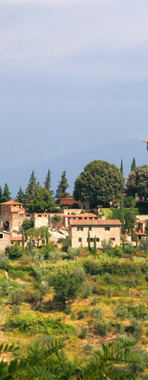 Scenic Tuscan villa surrounded by olive trees