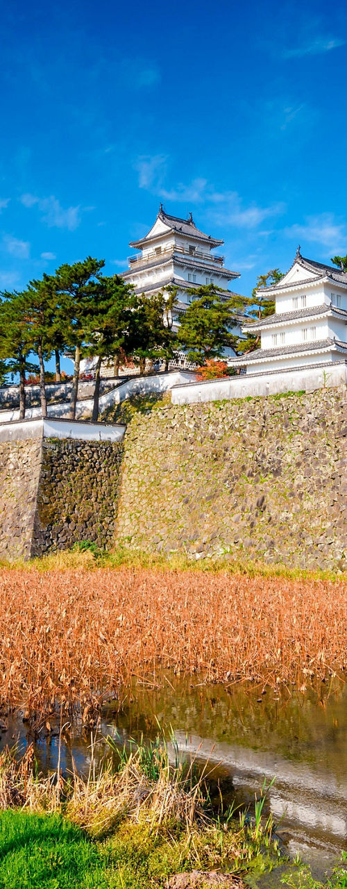 Historic Japanese castle surrounded by nature