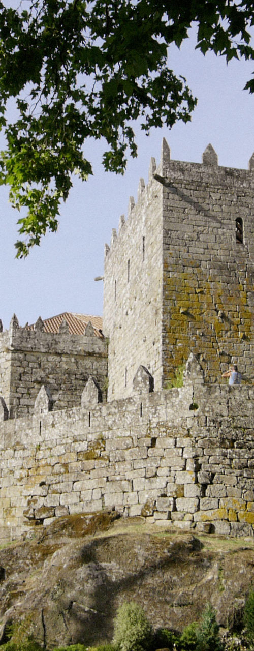 Historic stone castle surrounded by greenery