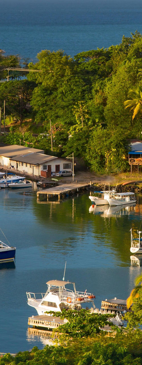 Scenic marina with sailboats and lush greenery