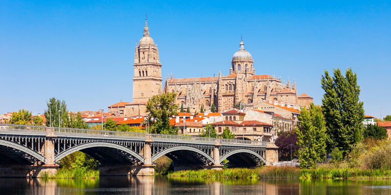 Historic Cathedral and Bridge in Salamanca