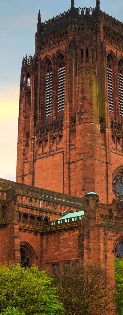 Historic cathedral with lush greenery at sunset