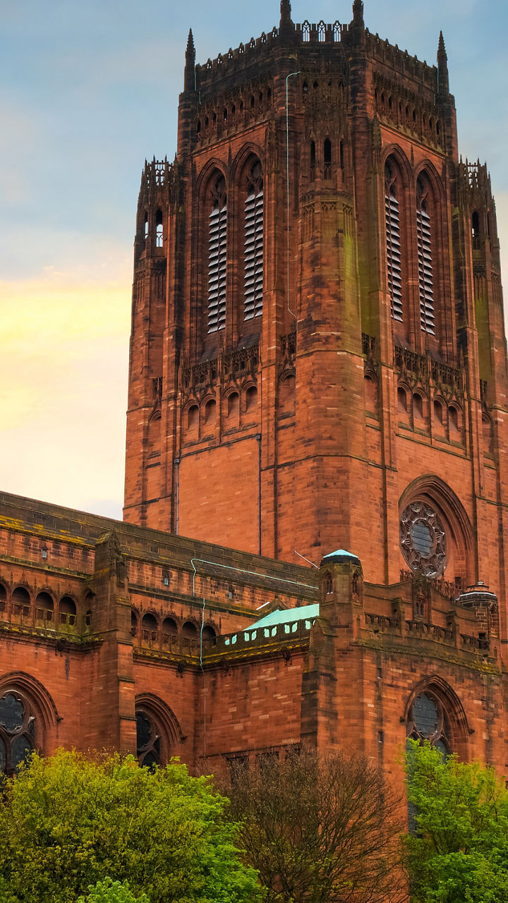 Historic cathedral with lush greenery at sunset