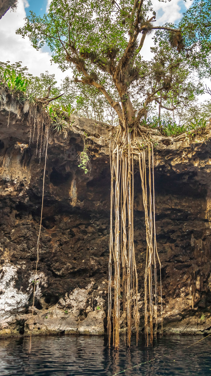 Santa Barbara Cenote