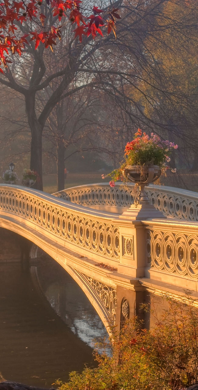 Elegant bridge in autumn park setting