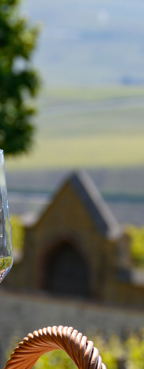 Pouring champagne in vineyard setting