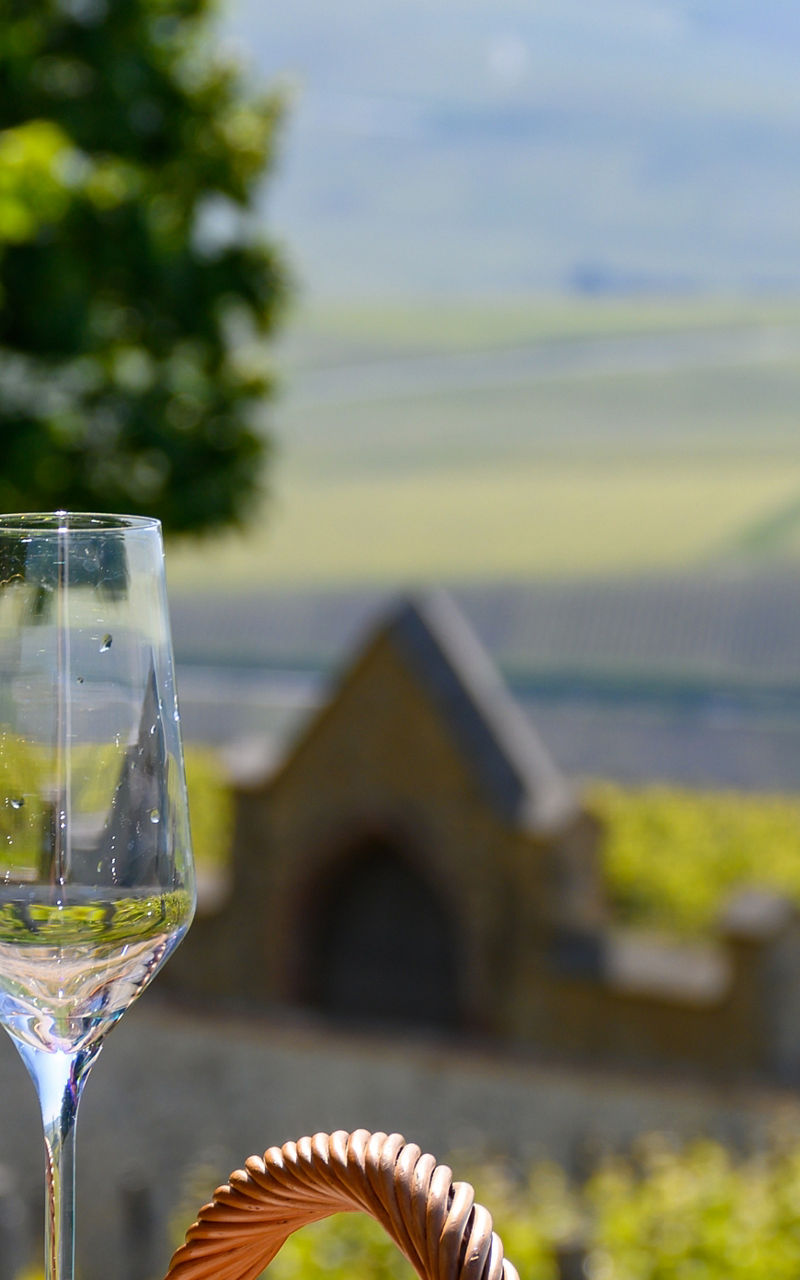 Pouring champagne in vineyard setting