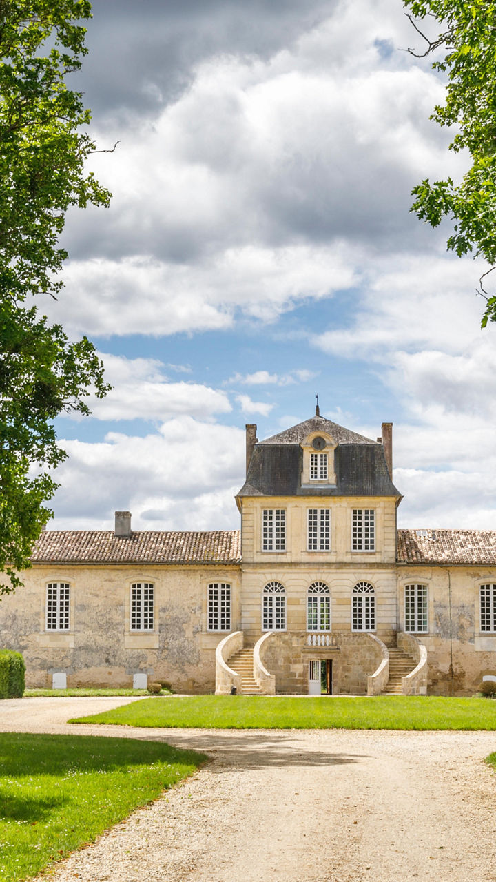 Elegant French estate surrounded by greenery