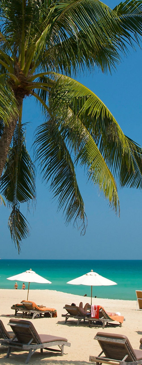Tropical beach with palm trees and loungers