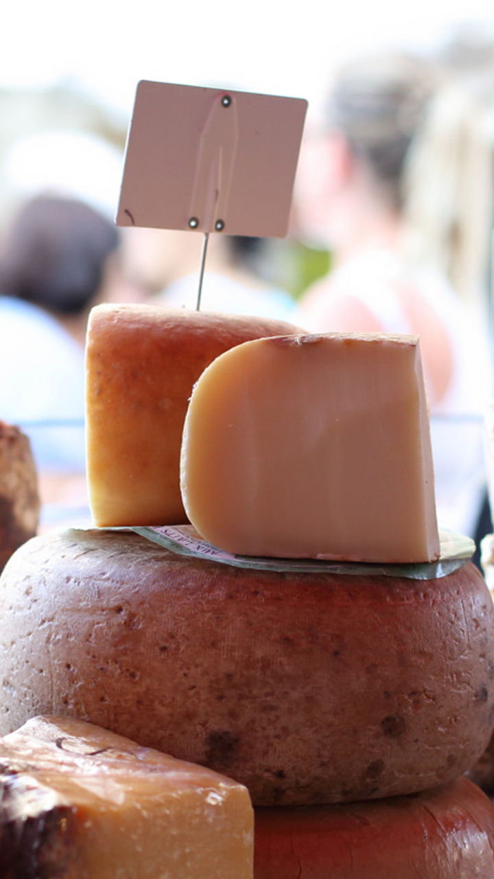 Assorted artisan cheeses on display