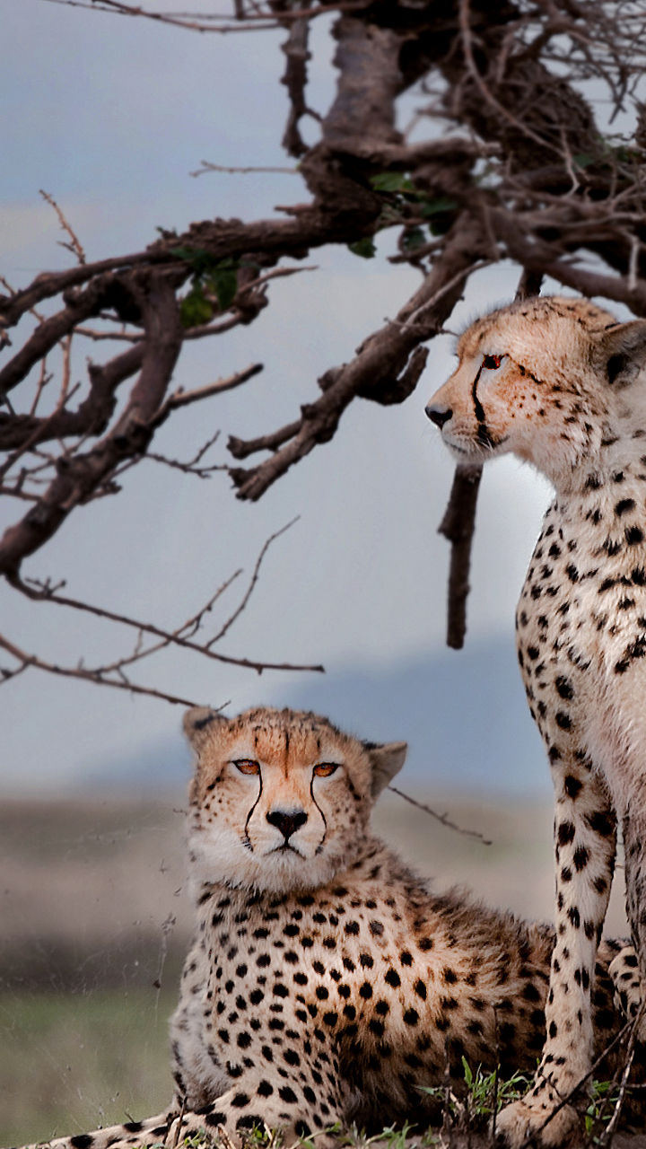 Amakhala Private Game Reserve