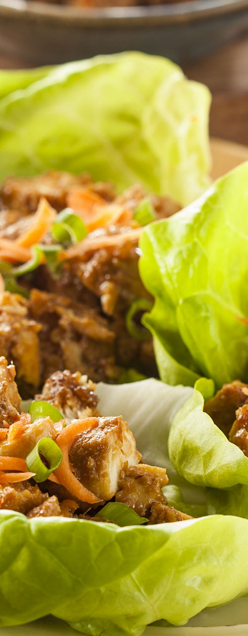 Fresh Lettuce Wraps with Chicken Filling