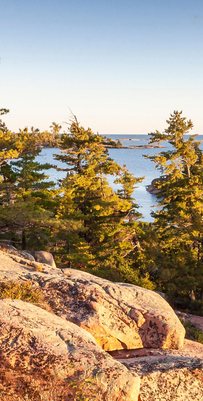 Scenic rocky shoreline with pine trees