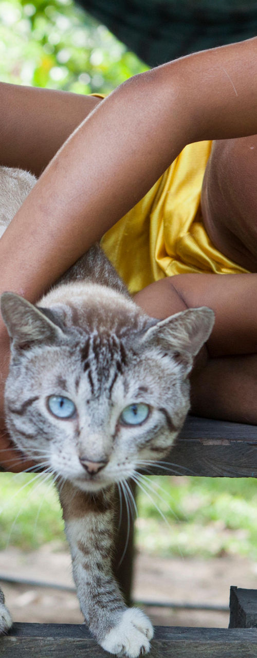 Child lounging with a cat outdoors