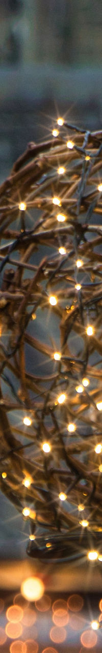 Festive glowing lights in outdoor setting