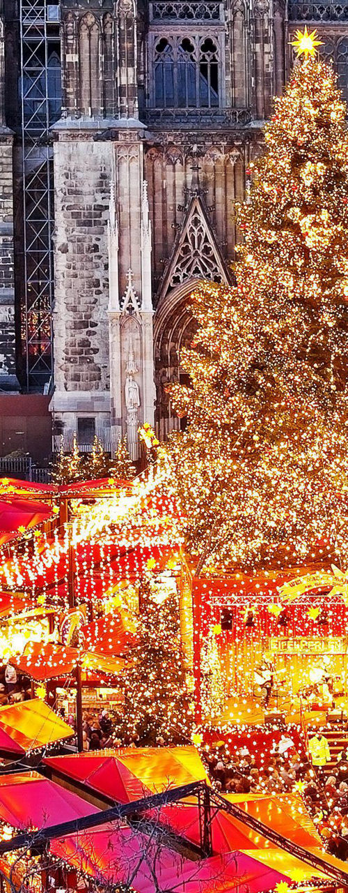 Festive Christmas Market with Illuminated Tree