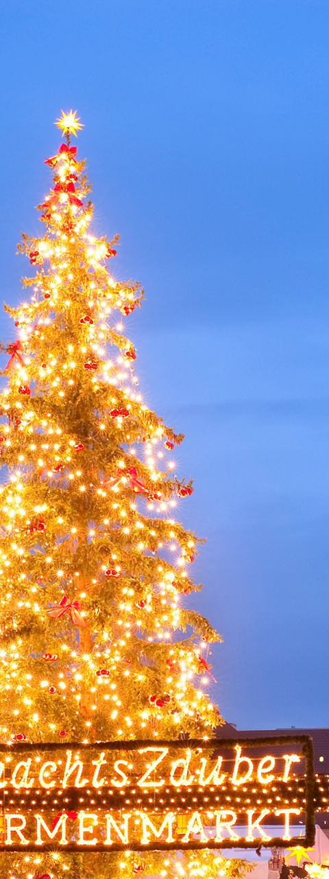Festive Christmas market at Gendarmenmarkt Berlin