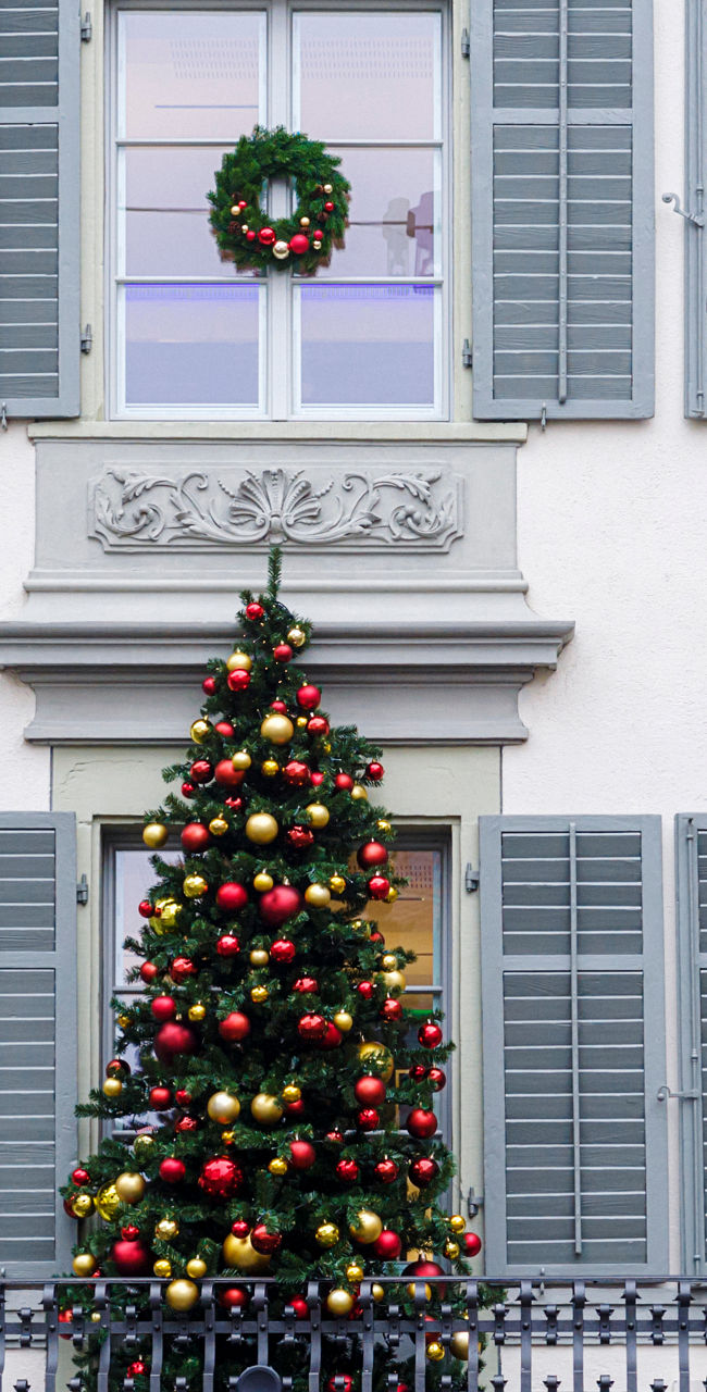 Festive building with Christmas tree and wreaths