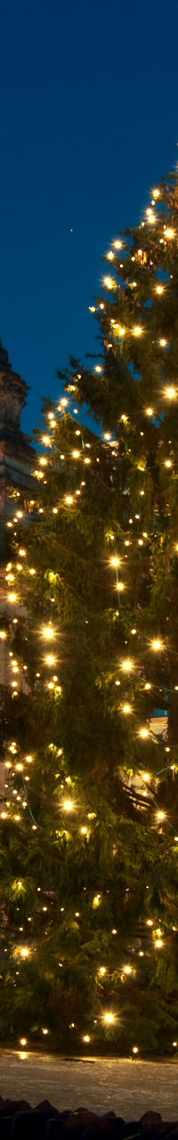 Illuminated Christmas tree outside historic parliament building