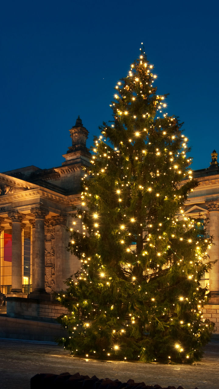 Illuminated Christmas tree outside historic parliament building