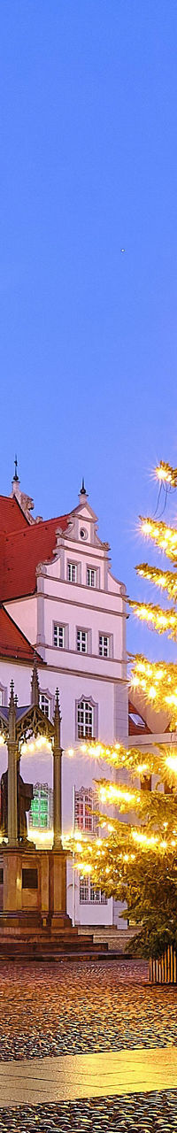 Historic town square with illuminated Christmas tree