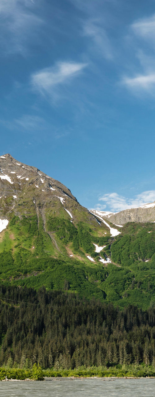 Snow-capped mountains with lush green forest