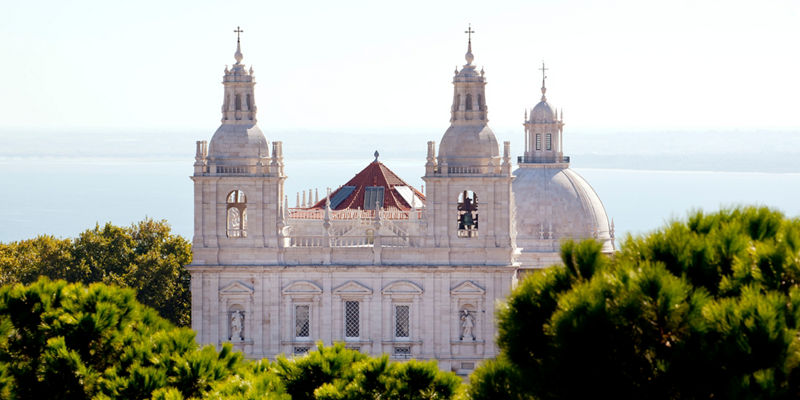Historic white church rising above green trees