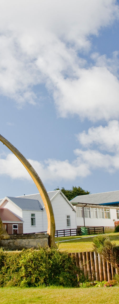 Historic church with whale bone arch