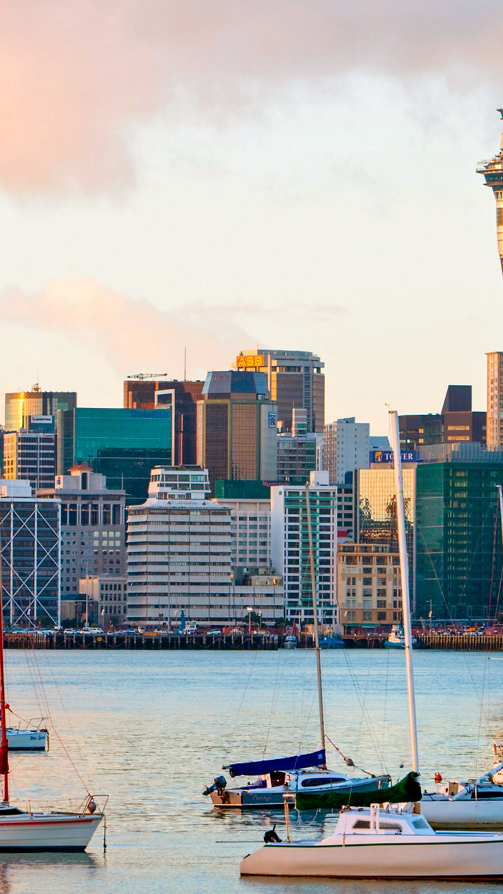 Auckland city skyline with harbor view