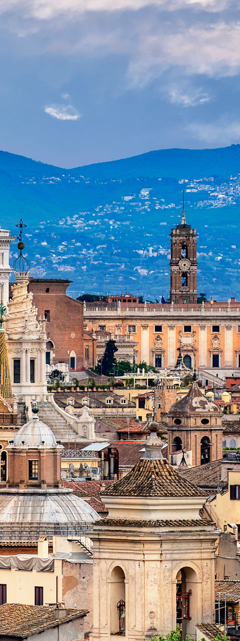 Panoramic View of Rome's Historic Skyline