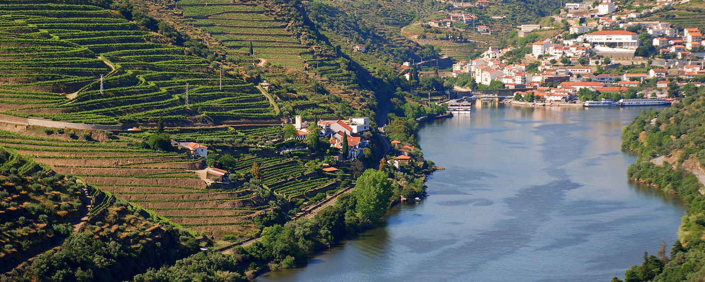 Scenic river valley with terraced vineyards