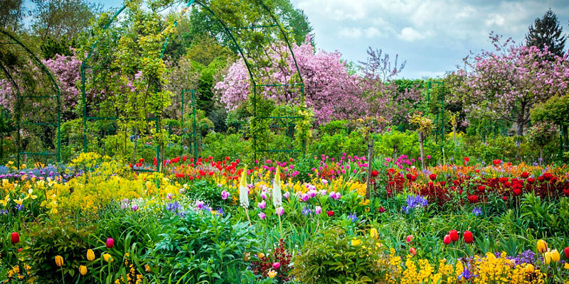 Vibrant Spring Garden with Blooming Flowers