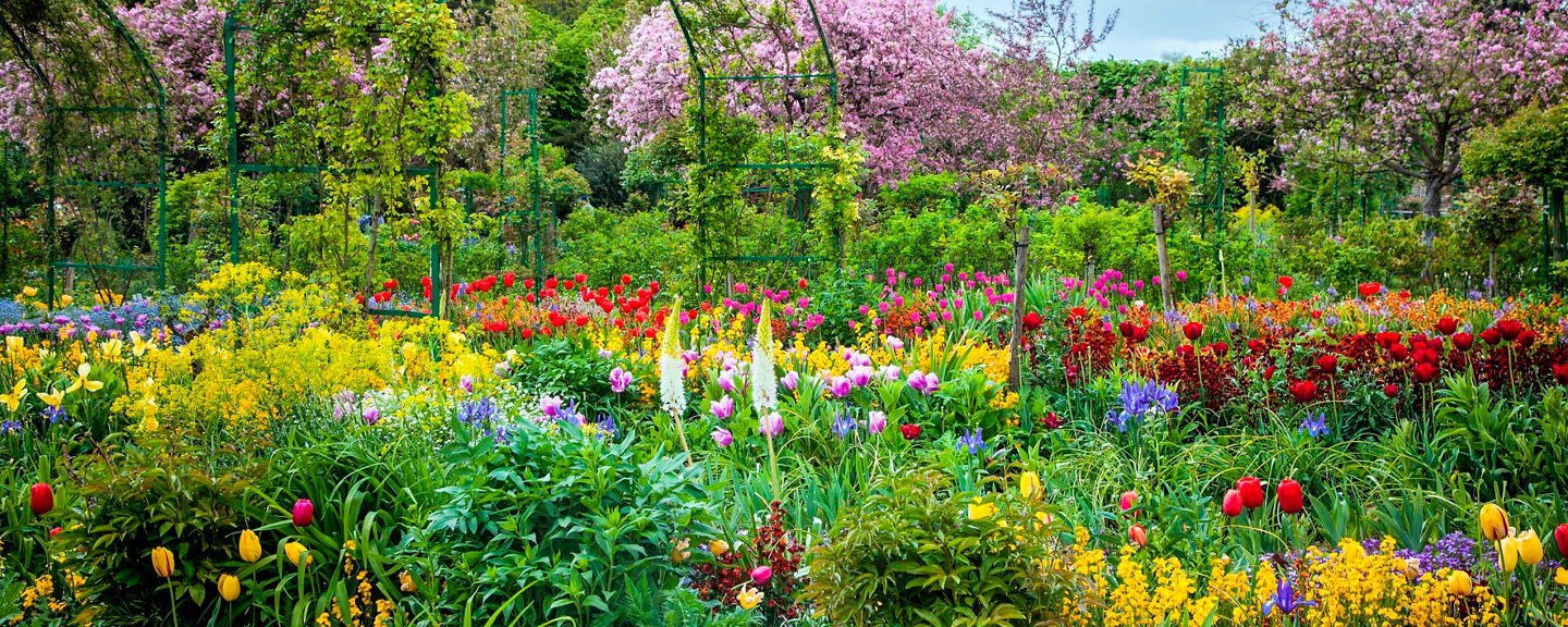 Vibrant Spring Garden with Blooming Flowers