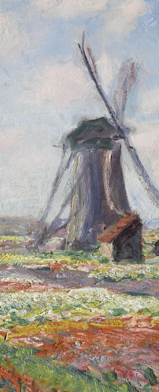 Windmill in vibrant flower fields