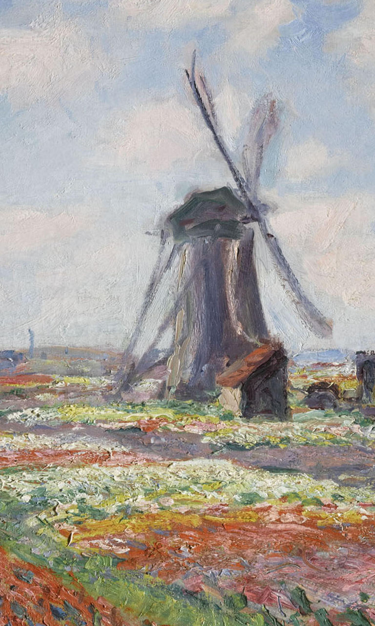 Windmill in vibrant flower fields