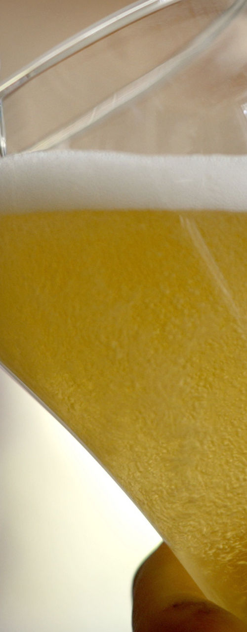 Pouring golden beer into curved glass