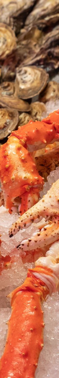 Fresh seafood display with crab and shellfish