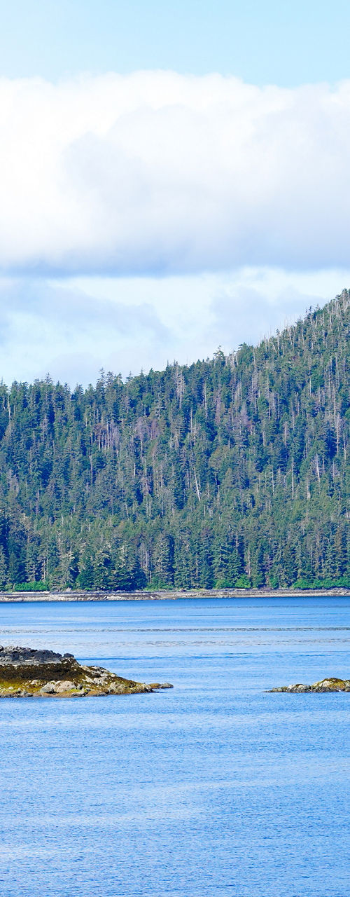 Serene Island in Calm Blue Waters
