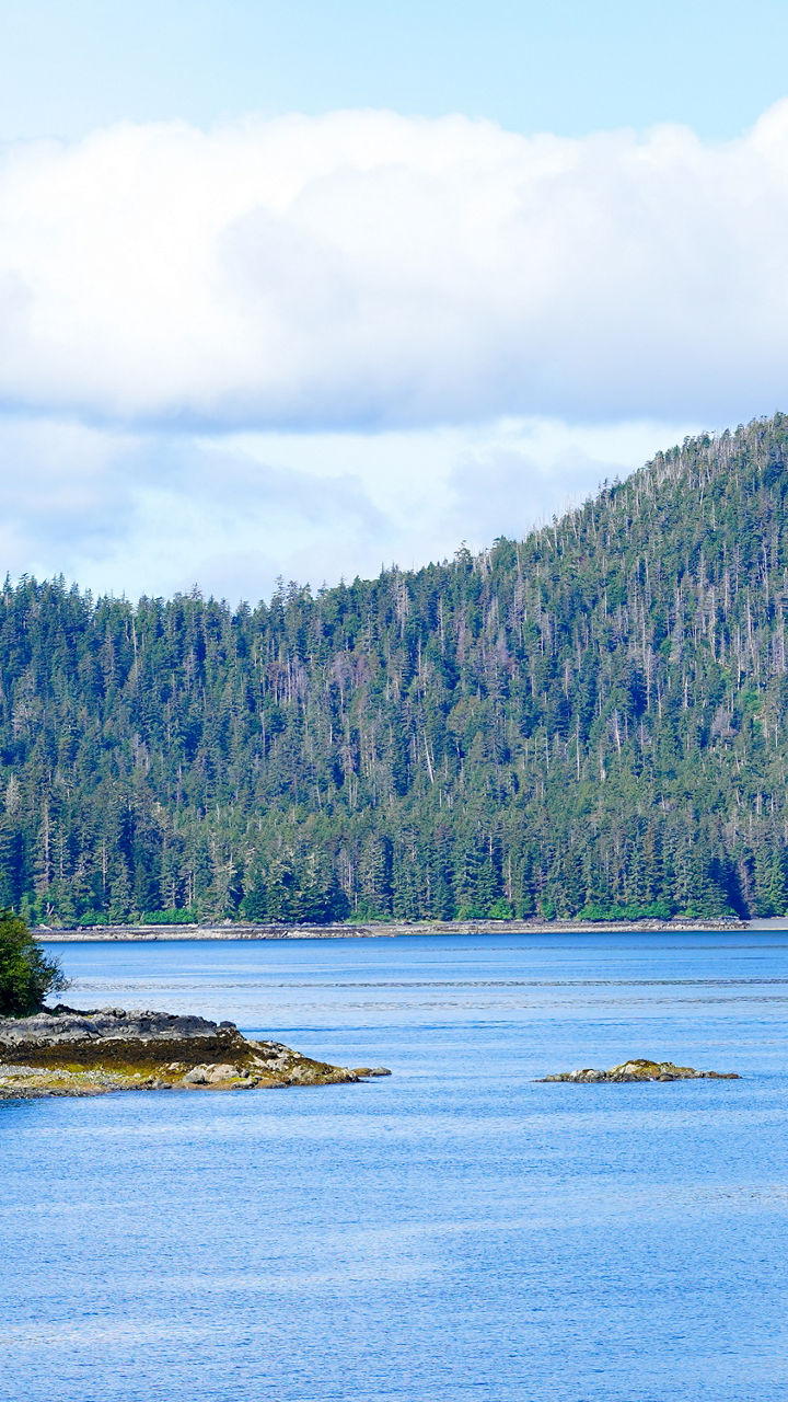 Sitka Sound Wildlife Cruise & Alaskan Traditions