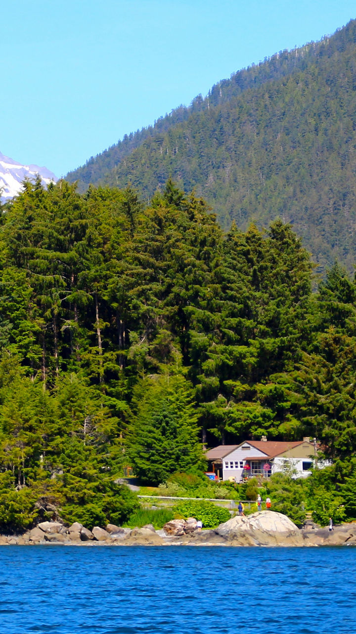 Beach Exploration & Wildlife Watching in Sitka Sound