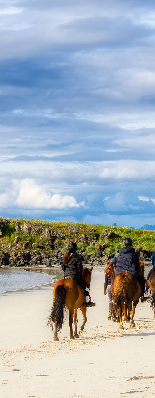 Group horseback riding on scenic beach