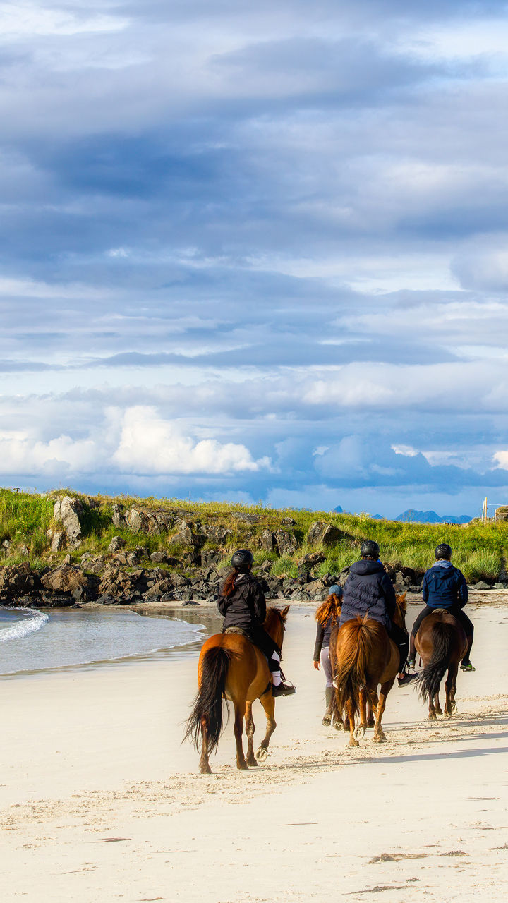 Lofoten on Horseback