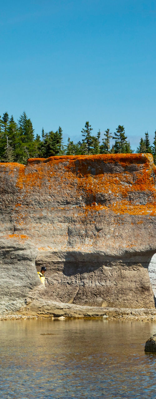 Eroded Rock Formations Beside Forested Shoreline