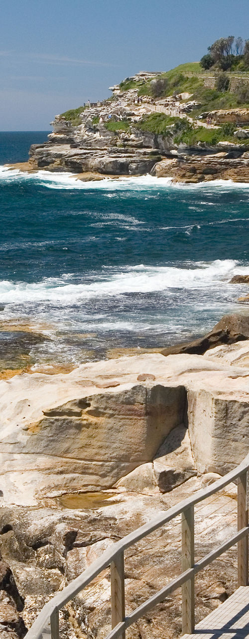 Coastal boardwalk overlooking rocky ocean shoreline