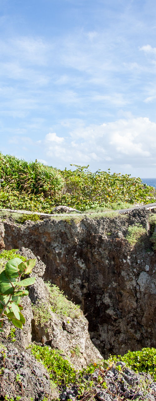 Scenic coastal cliff with wooden pathway