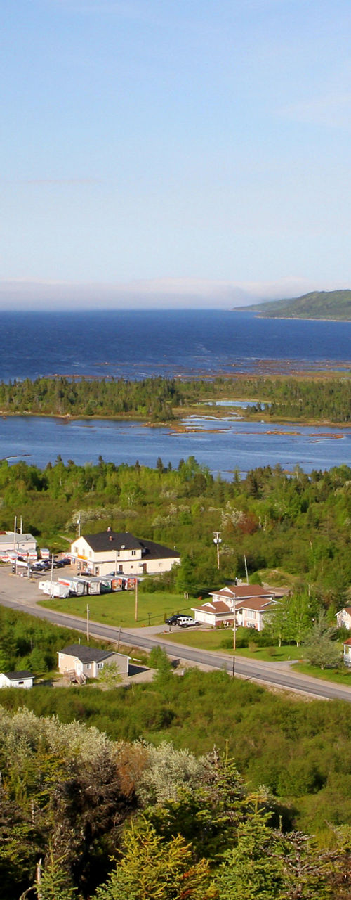 Scenic lakeside town with lush greenery