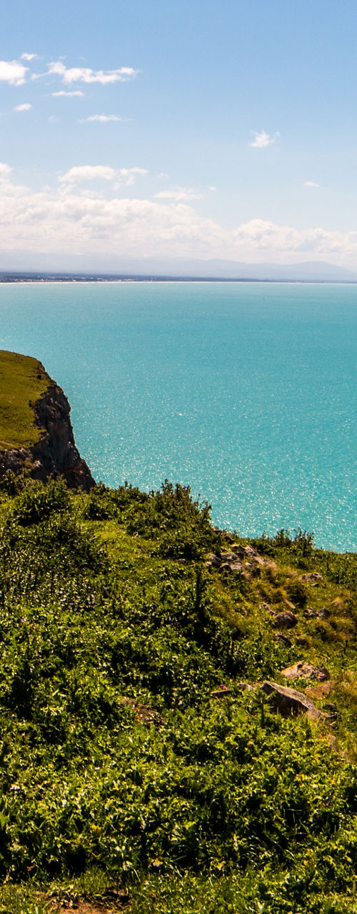 Coastal cliffside trail with ocean view