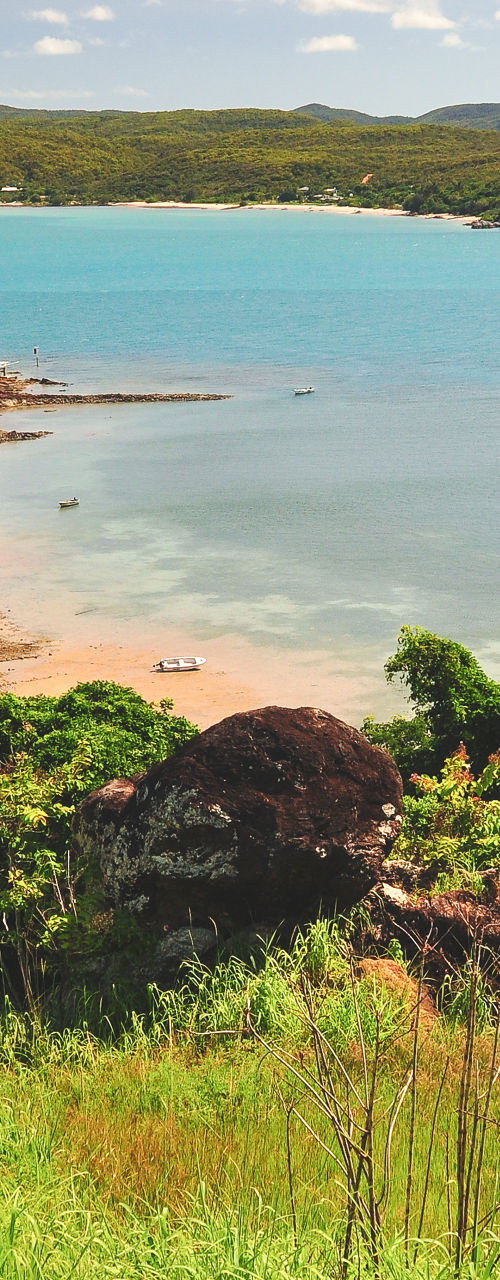 Scenic coastal town with lush greenery